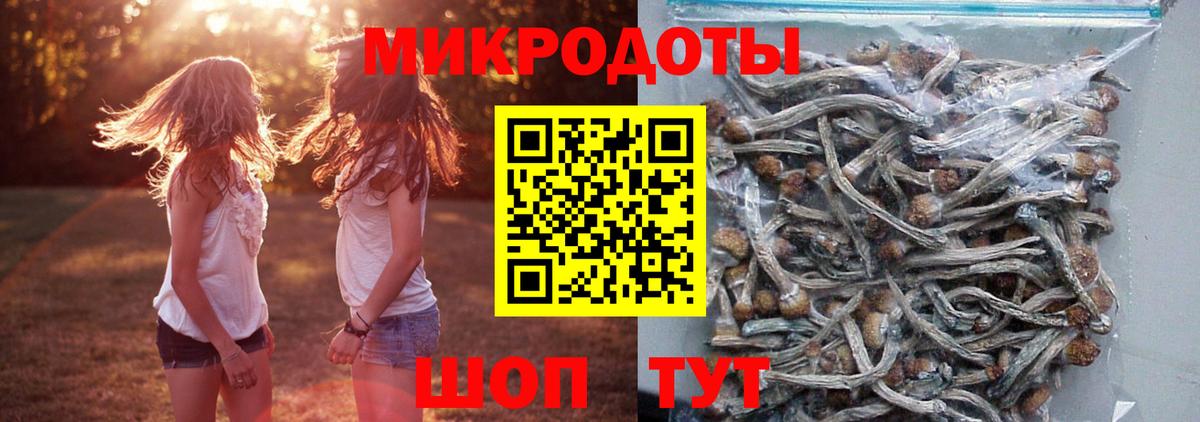 Псилоцибиновые грибы GOLDEN TEACHER  Псилоцибиновые грибы Cubensis  Россошь  Вход с VPN 