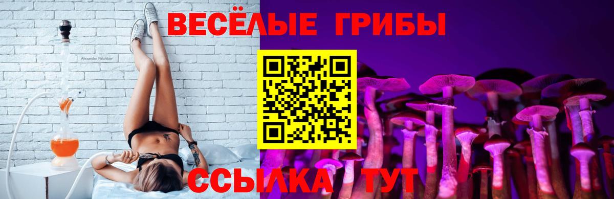 Галлюциногенные грибы прущие грибы Россошь
